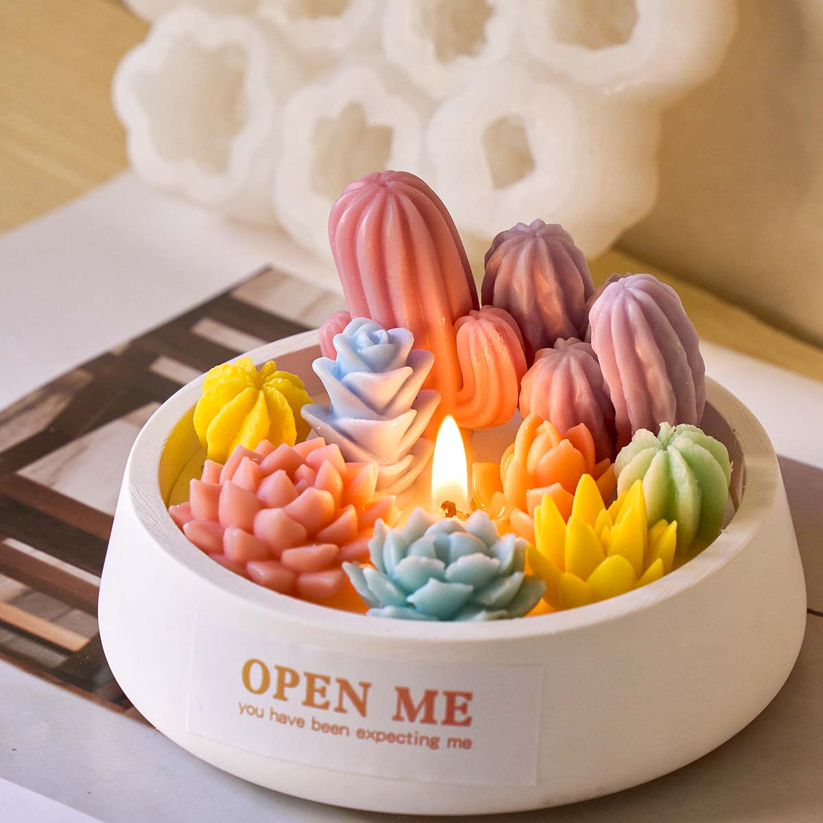 3D Succulent Kit Silicone Cand - Soap Making Book For Beginners 评论和价格
