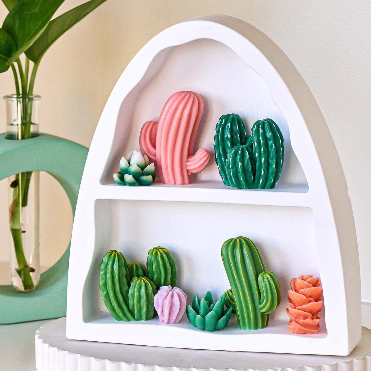 3D Succulent Kit Silicone Cand - Soap Making Book For Beginners 评论和价格